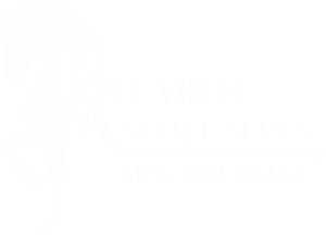 logo caballos 3 transparent.png