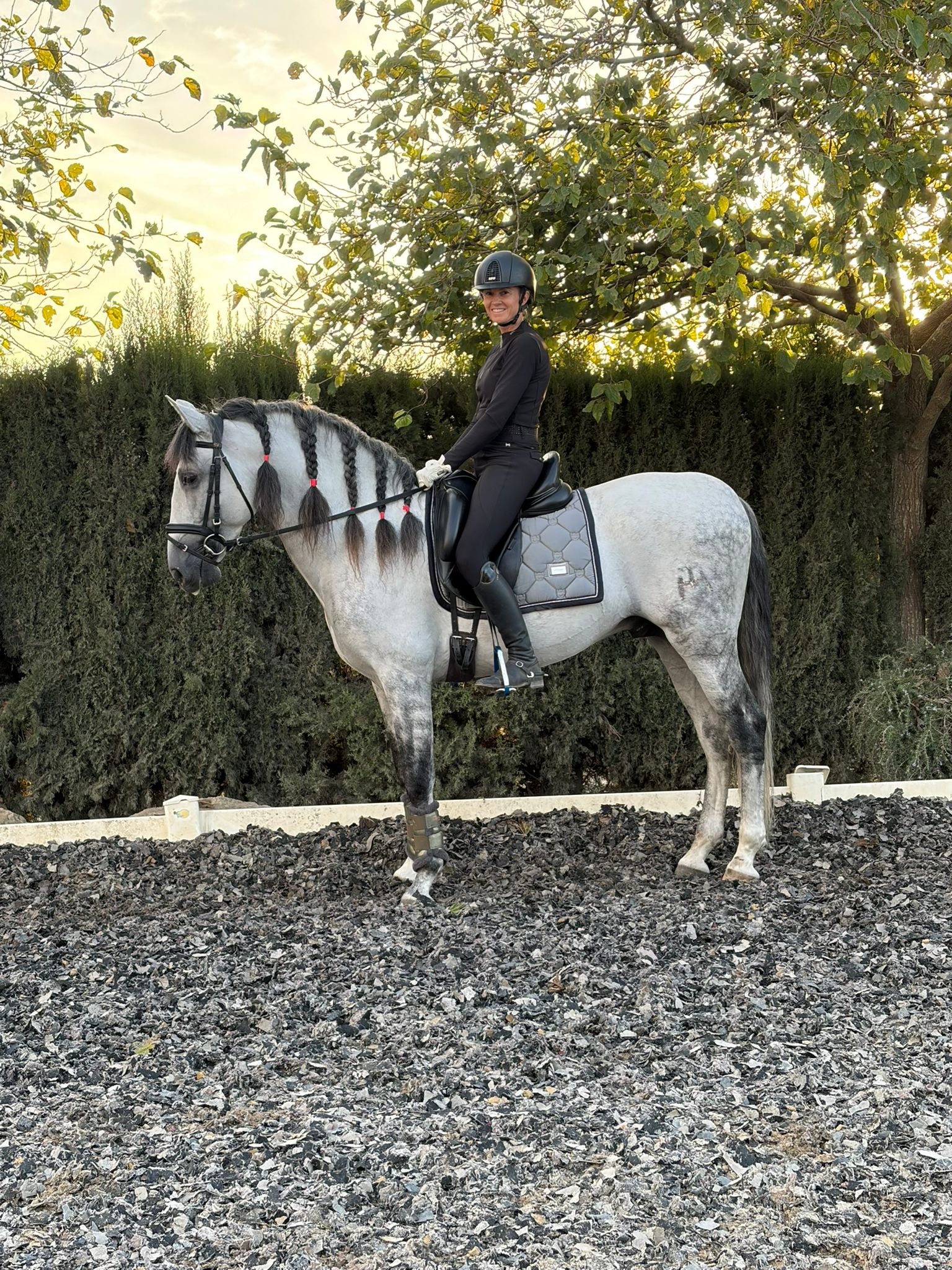 whatsapp image 2025 11 06 at 14.47.16 4ef6aa71